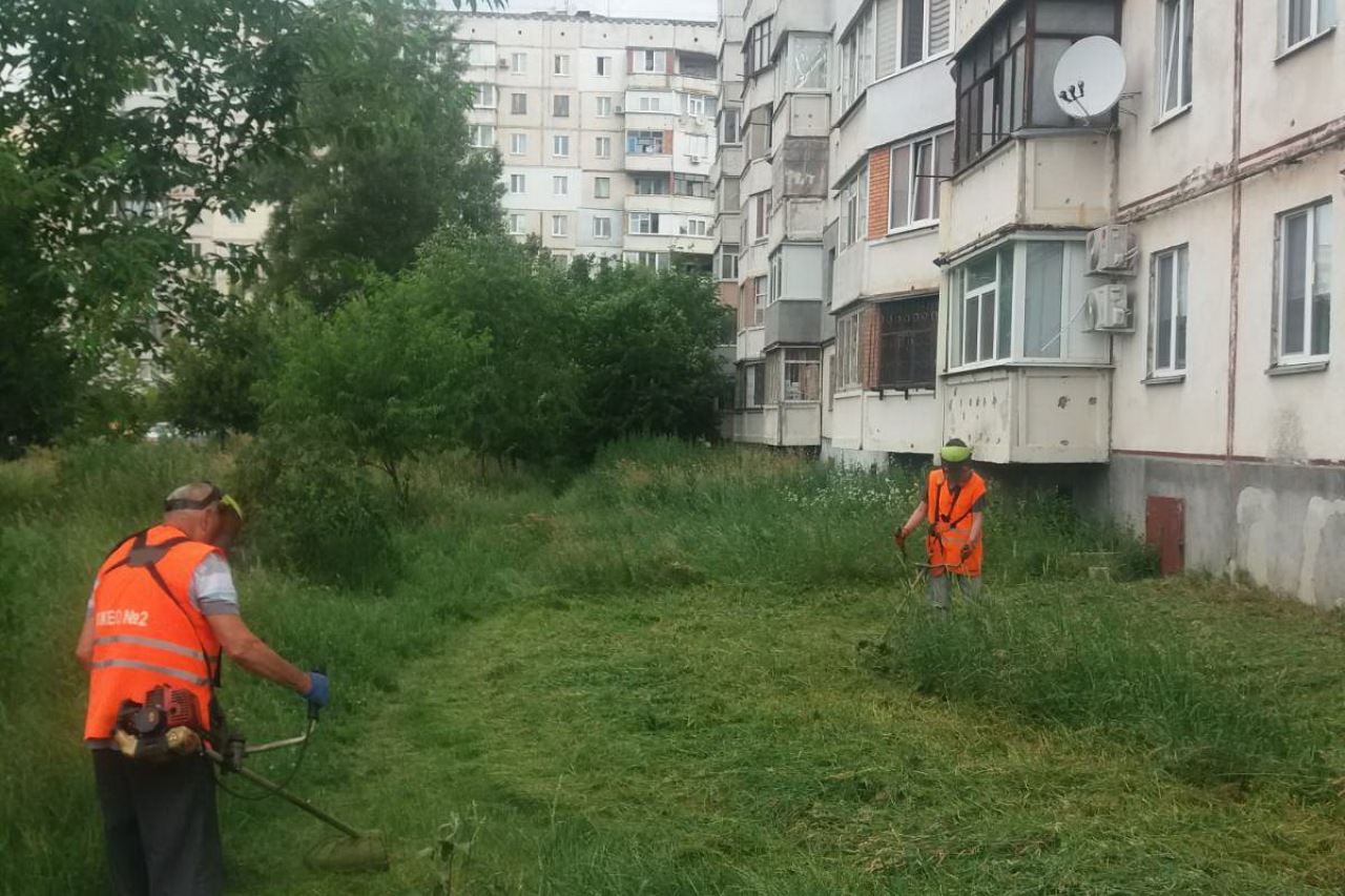 КП «ЖЕО № 2»  ПРОВОДИТЬ   РОБОТИ  ПО   ПОКОСУ ТРАВИ – фото 2