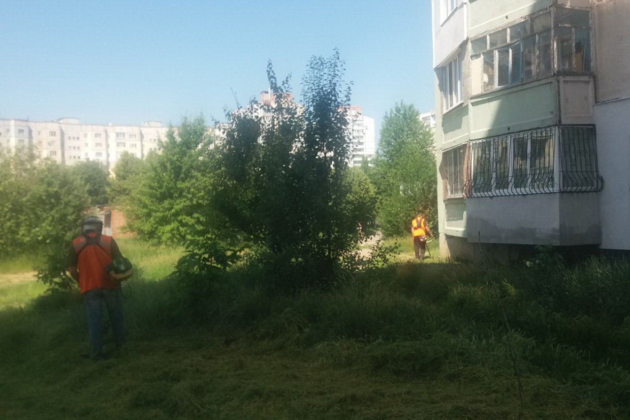 ПРАЦІВНИКИ КП «ЖЕО № 2»  ПРОДОВЖУЮТЬ ВИКОНУВАТИ   РОБОТИ  ПО   ПОКОСУ ТРАВИ ТА БУР’ЯНІВ – фото 8