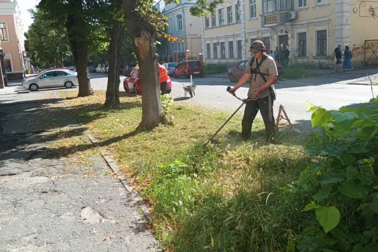 КП «ЖЕО № 2»  ПРОВОДИТЬ   РОБОТИ  ПО   ПОКОСУ ТРАВИ ТА БУР’ЯНІВ – фото 2