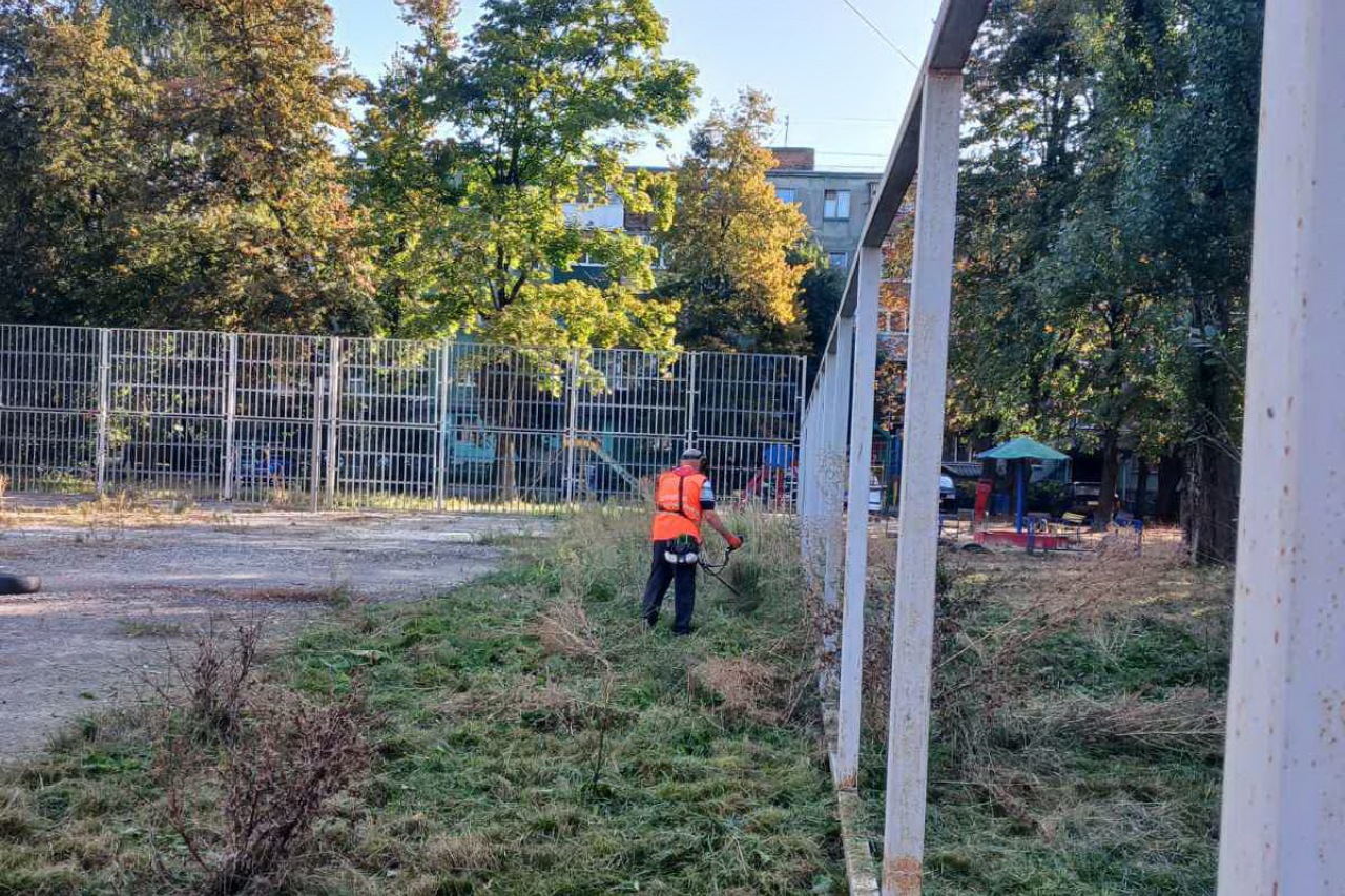КП «ЖЕО № 2»  ПРОВОДИТЬ   РОБОТИ  ПО   ПОКОСУ ТРАВИ ТА БУР’ЯНІВ – фото 2