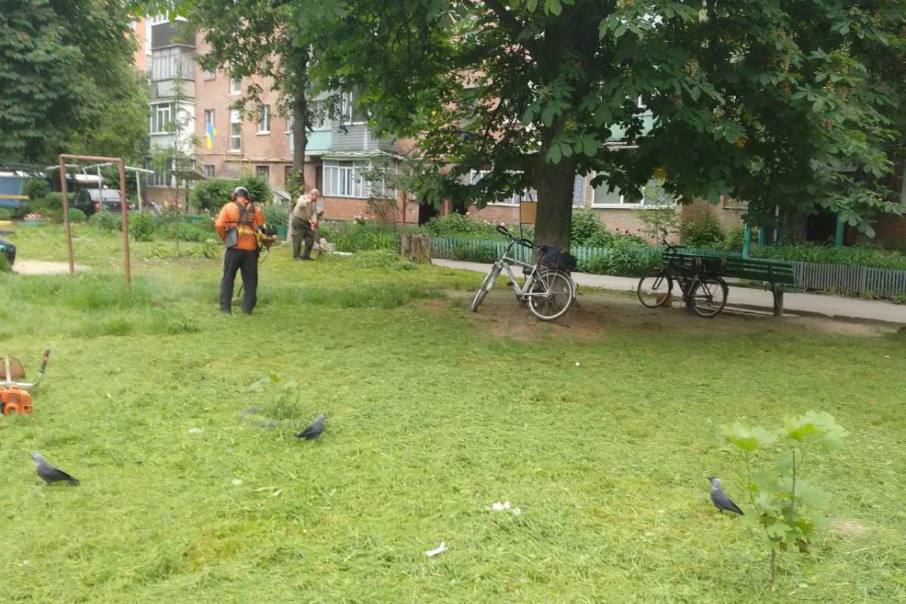 ПРАЦІВНИКИ КП «ЖЕО № 2»  ПРОДОВЖУЮТЬ ВИКОНУВАТИ РОБОТИ  ПО   ПОКОСУ ТРАВИ ТА БУР’ЯНІВ – фото 1