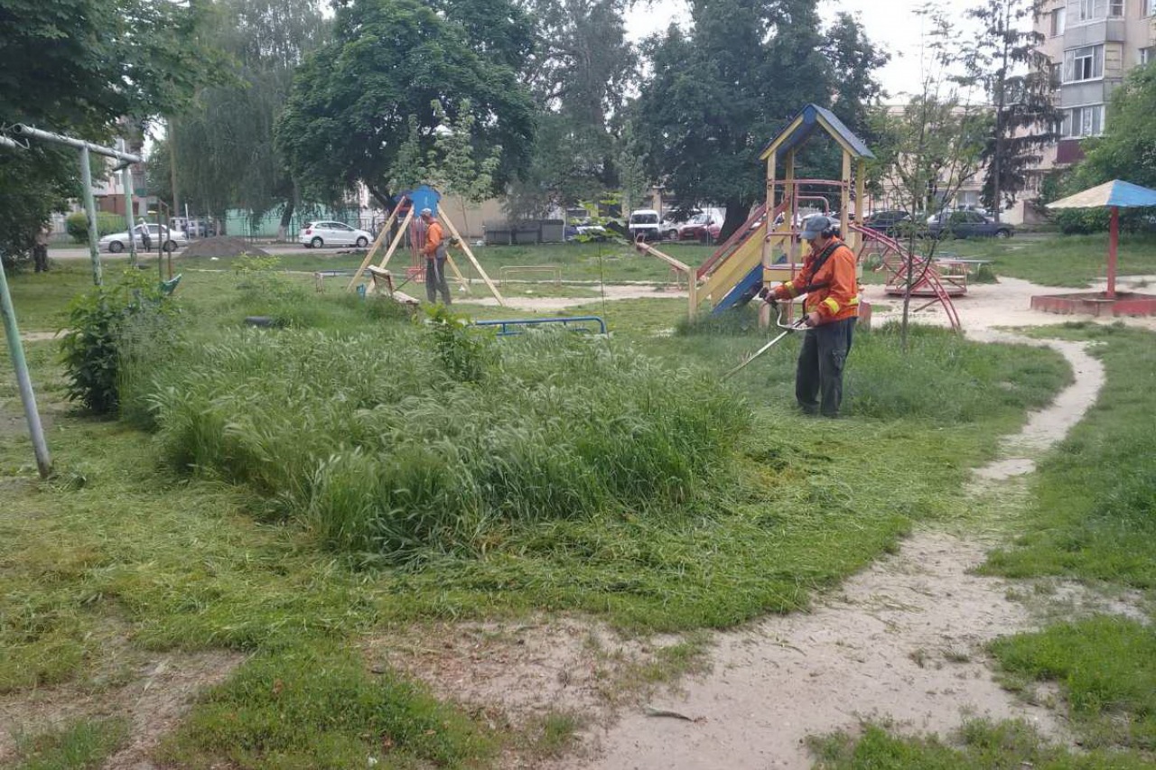 ПРАЦІВНИКИ КП «ЖЕО № 2»  ПРОДОВЖУЮТЬ ВИКОНУВАТИ РОБОТИ  ПО   ПОКОСУ ТРАВИ ТА БУР’ЯНІВ – фото 3