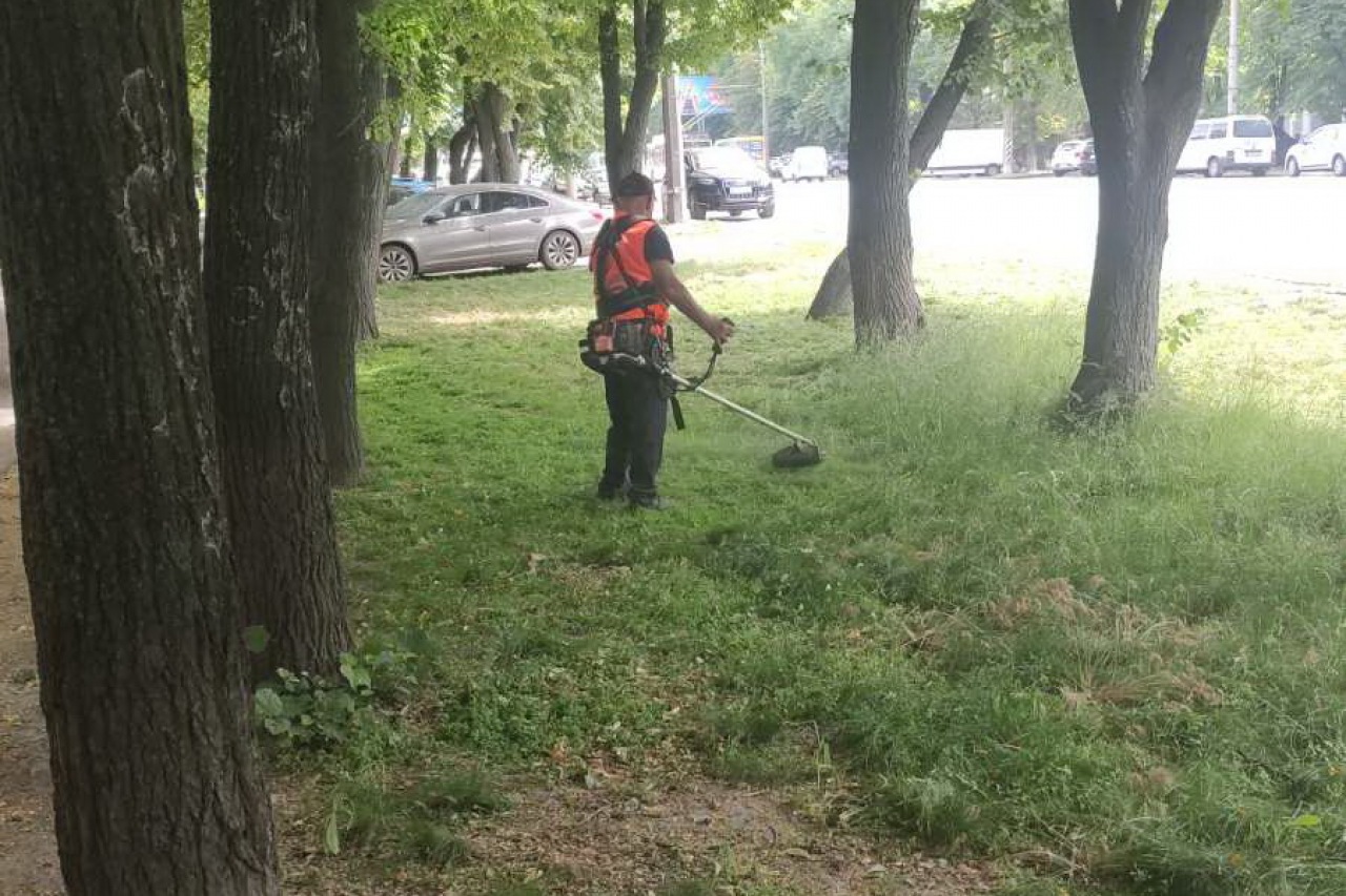 КП «ЖЕО № 2»  ПРОВОДИТЬ   РОБОТИ  ПО   ПОКОСУ ТРАВИ ТА БУР’ЯНІВ – фото 3