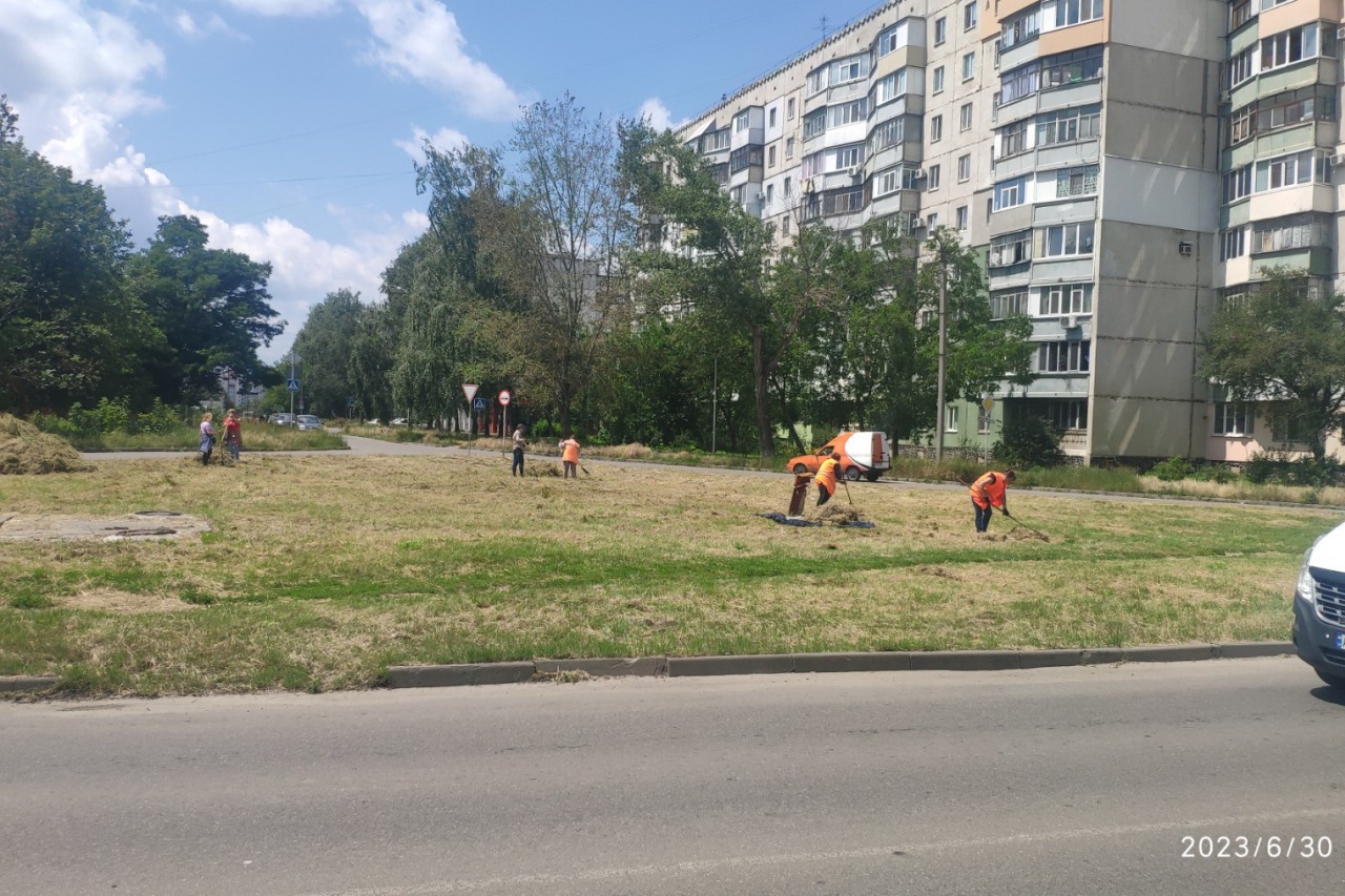 ПРАЦІВНИКИ КП «ЖЕО № 2» ПРОДОВЖУЮТЬ ВИКОНУВАТИ РОБОТИ ПО ПОКОСУ ТРАВИ ТА БУР’ЯНІВ – фото 3