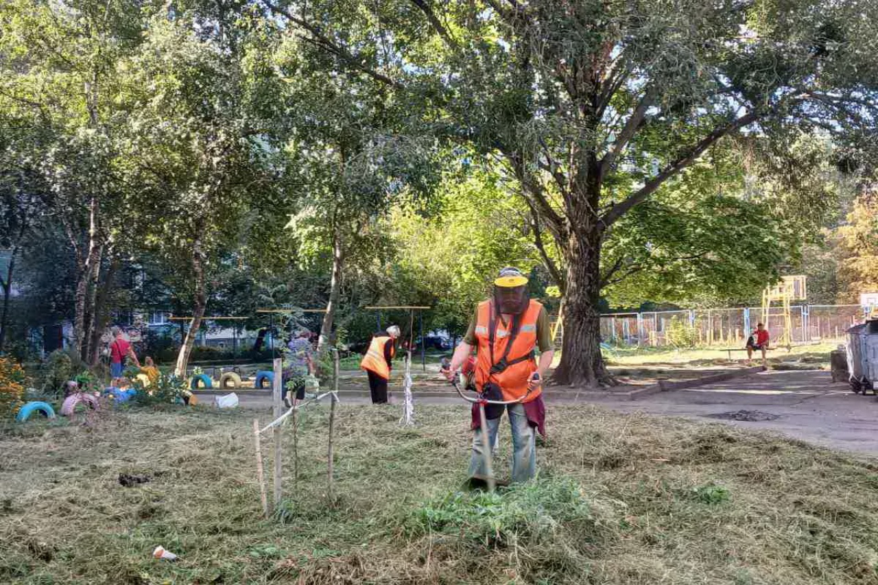 ПРАЦІВНИКИ КП «ЖЕО № 2»  ПРОДОВЖУЮТЬ ВИКОНУВАТИ   РОБОТИ  ПО   ПОКОСУ ТРАВИ ТА БУР’ЯНІВ – фото 3