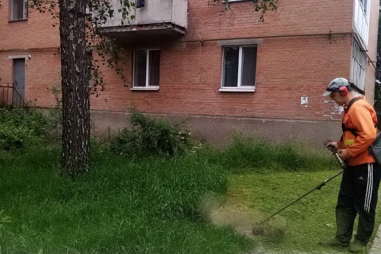 КП «ЖЕО № 2»  ПРОВОДИТЬ   РОБОТИ  ПО   ПОКОСУ ТРАВИ ТА БУР’ЯНІВ – фото 4