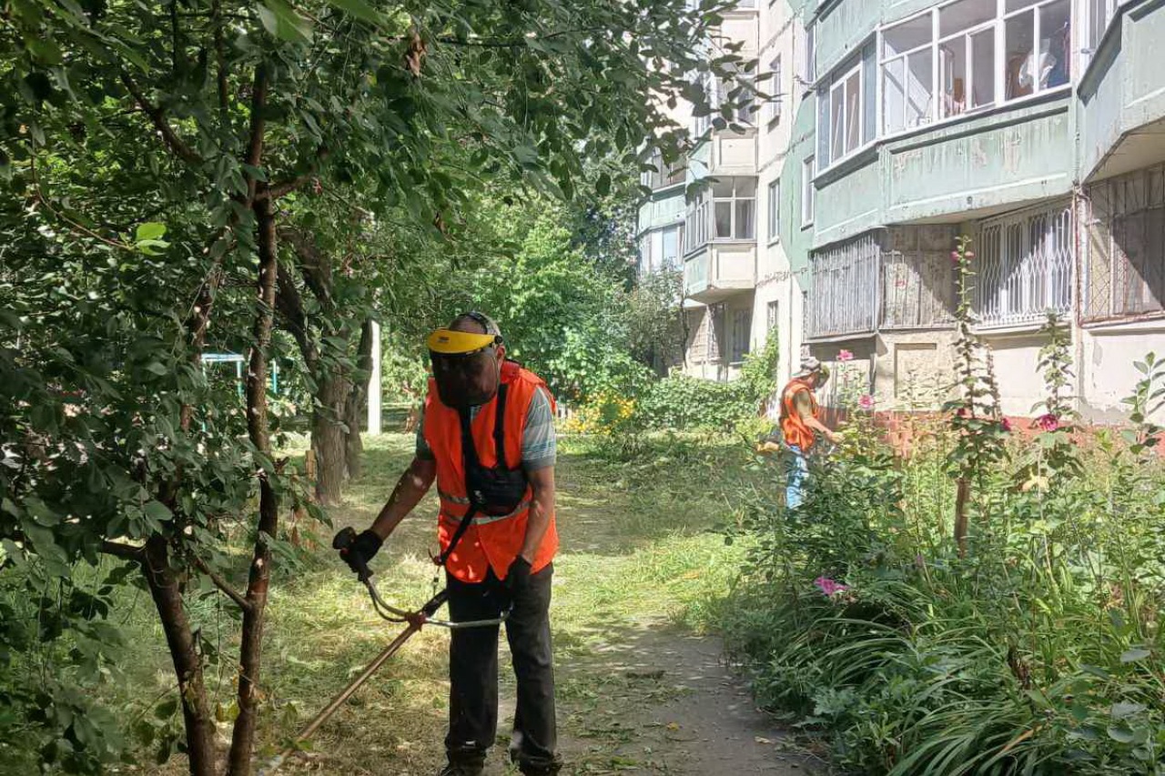 ПРАЦІВНИКИ КП «ЖЕО № 2»  ПРОДОВЖУЮТЬ ВИКОНУВАТИ   РОБОТИ  ПО   ПОКОСУ ТРАВИ ТА БУР’ЯНІВ – фото 2