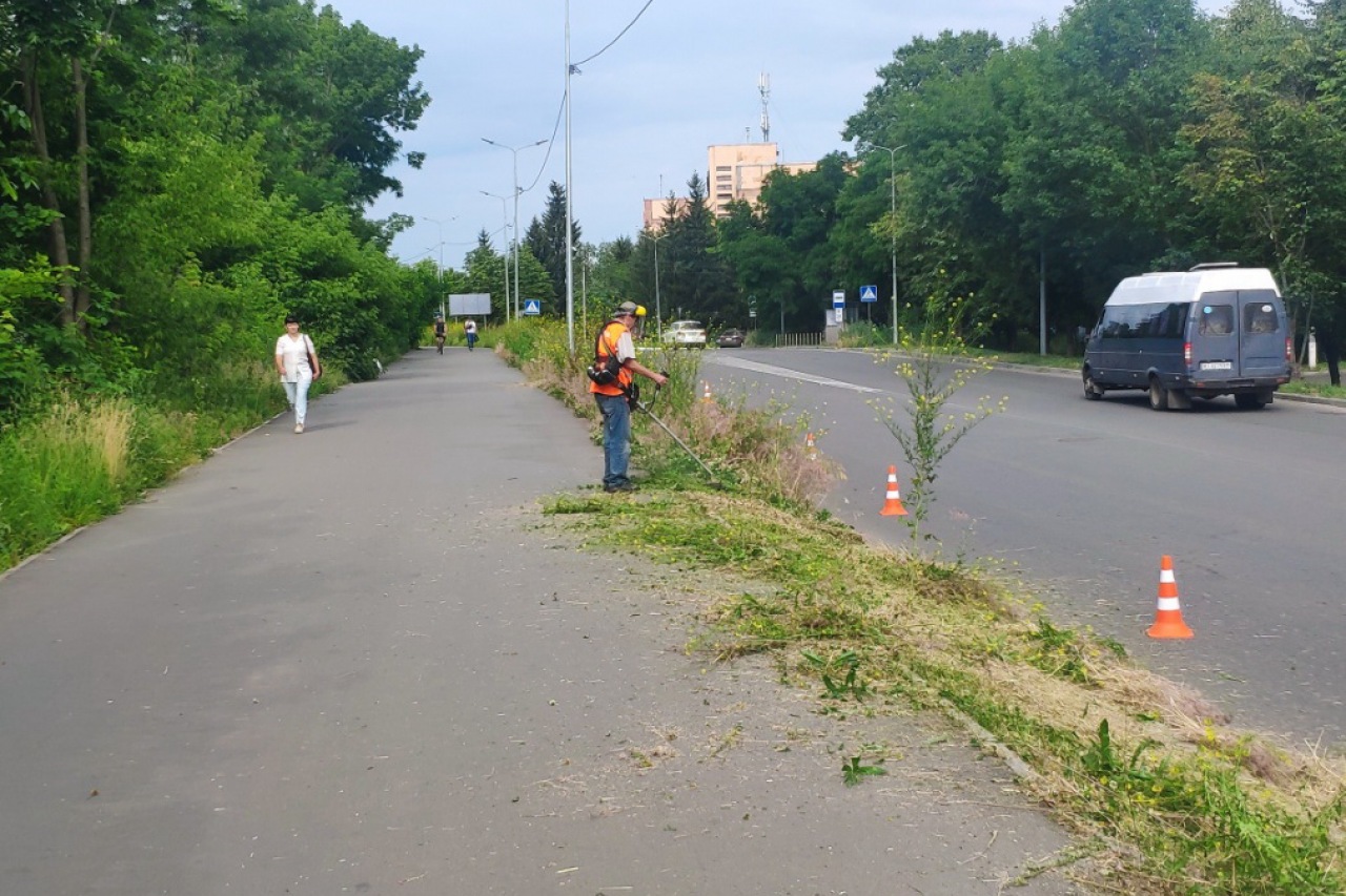 КП «ЖЕО № 2»  ПРОВОДИТЬ   РОБОТИ  ПО   ПОКОСУ ТРАВИ ТА БУР’ЯНІВ – фото 7