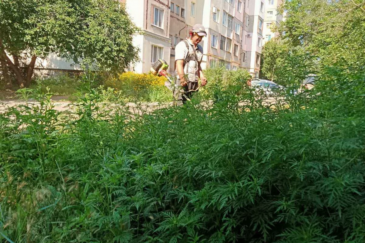 КП «ЖЕО № 2»  ПРОВОДИТЬ   РОБОТИ  ПО   ПОКОСУ ТРАВИ